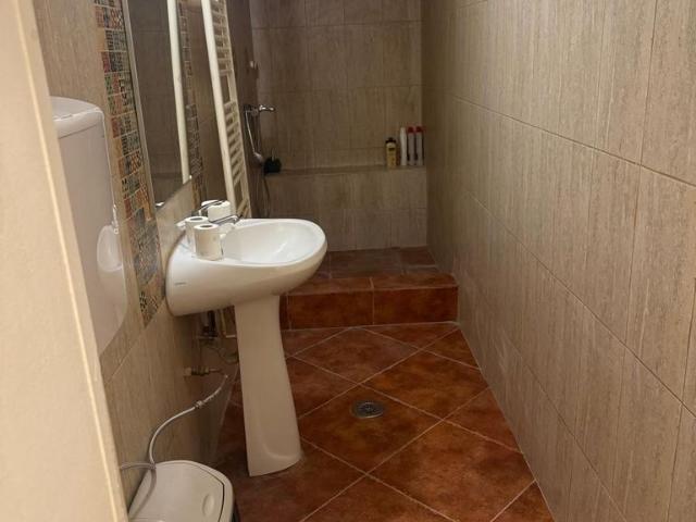 Casă închirieri