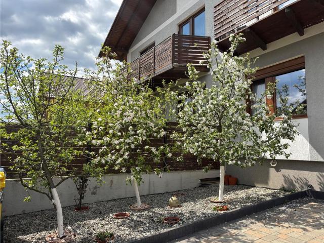 Casă închirieri în Colonia Seviș, Cisnădie