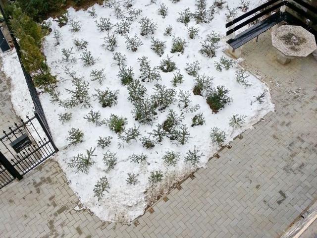 Casă închirieri