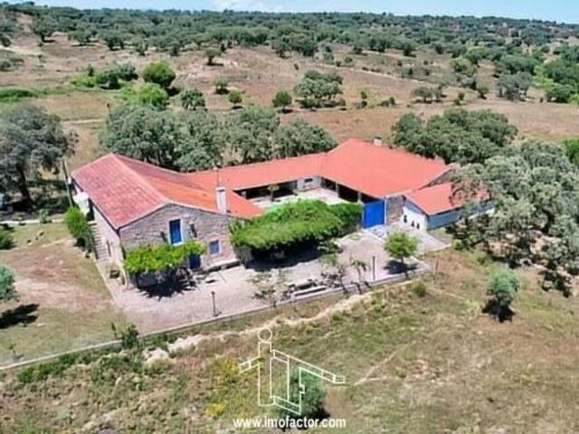 Casa venda em Castelo Branco