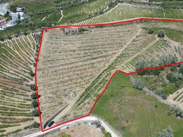 Casa venda em Peso Da Régua, Vila Real