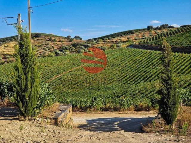 Casa venda em Guarda, Mós