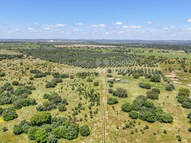 Solar venda em Reguengos De Monsaraz, Évora