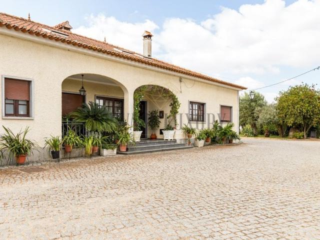 Casa venda em Montemor-o-novo, Évora