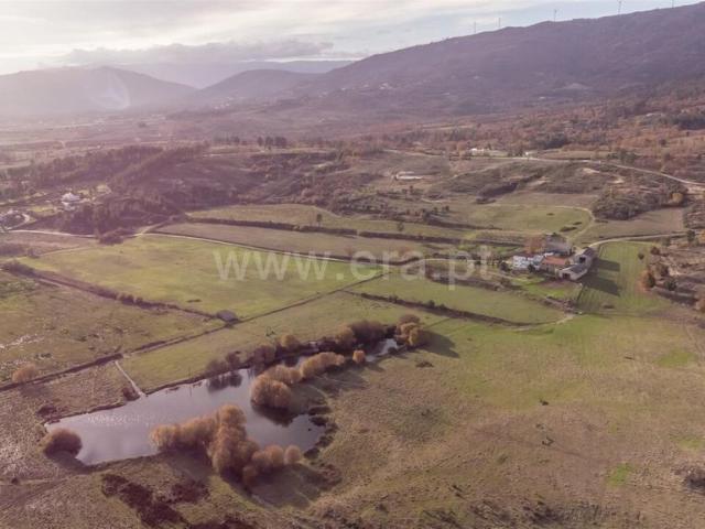 Casa venda em Guarda