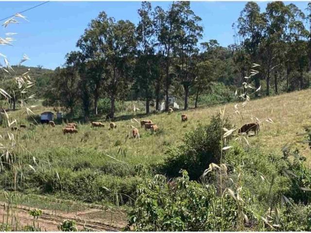 Terreno venda em São Marcos Da Serra, Faro