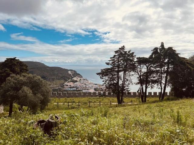Casa venda em Azeitão (São Lourenço e São Simão), Setúbal