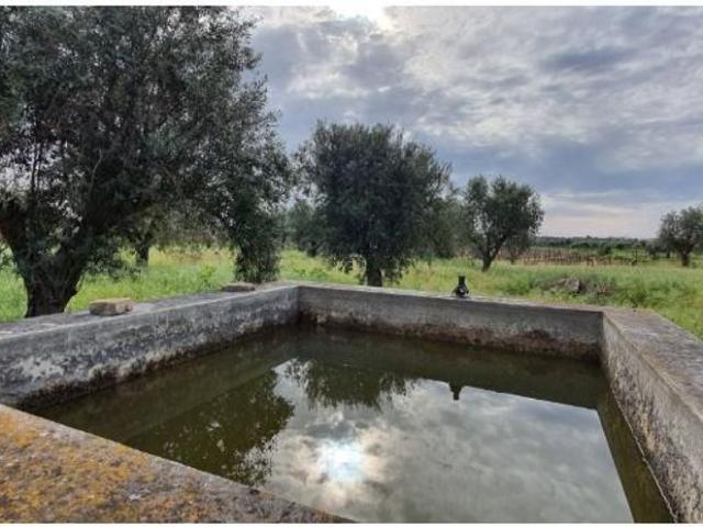 Casa venda em Reguengos De Monsaraz, Évora