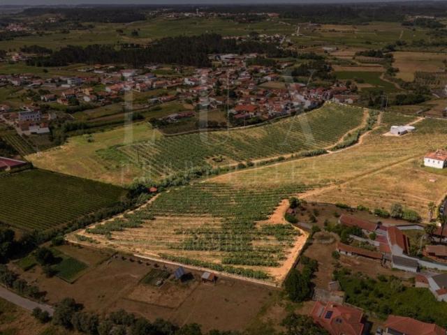 Casa venda em Anadia, Aveiro