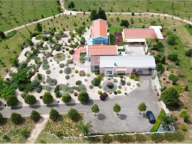 Casa venda em Batalha, Golpilheira