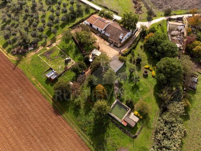 Casa venda em Borba (Matriz), Borba