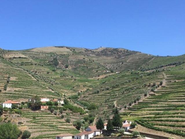 Casa venda em Nagoselo Do Douro, Viseu