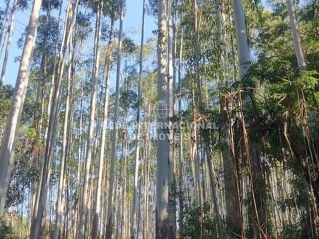 Casa venda em Região Imediata de Registro, Jacupiranga