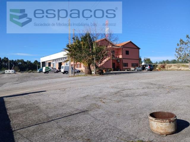 Casa venda em Castelo Branco