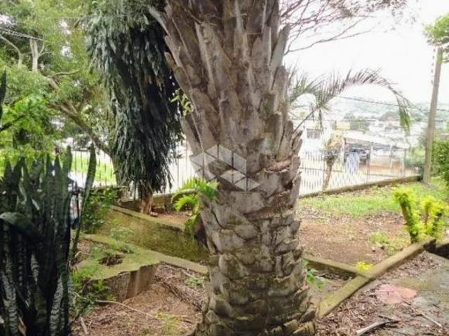 Terreno venda em Região Geográfica Imediata de Porto Alegre, Região Metropolitana de Porto Alegre