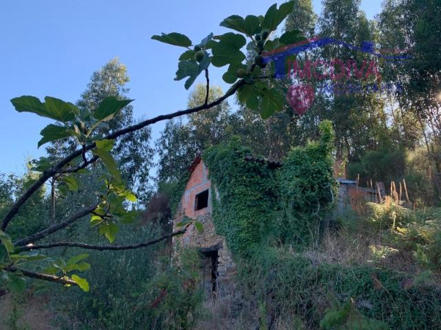 Casa venda em Pedrógão Grande, Leiria