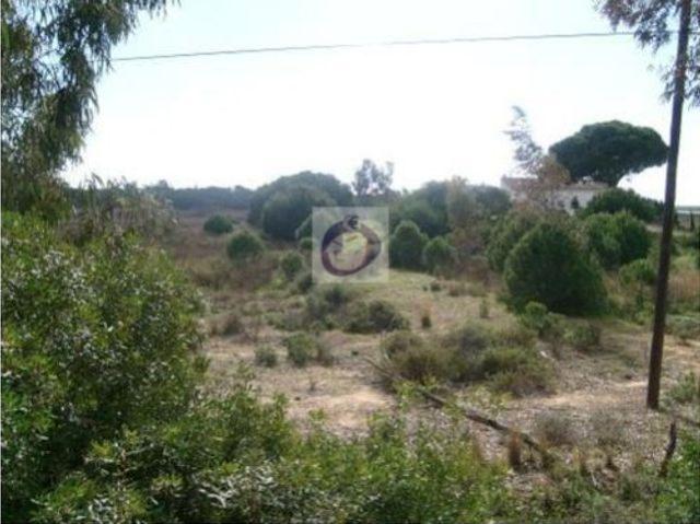 Casa venda em Faro