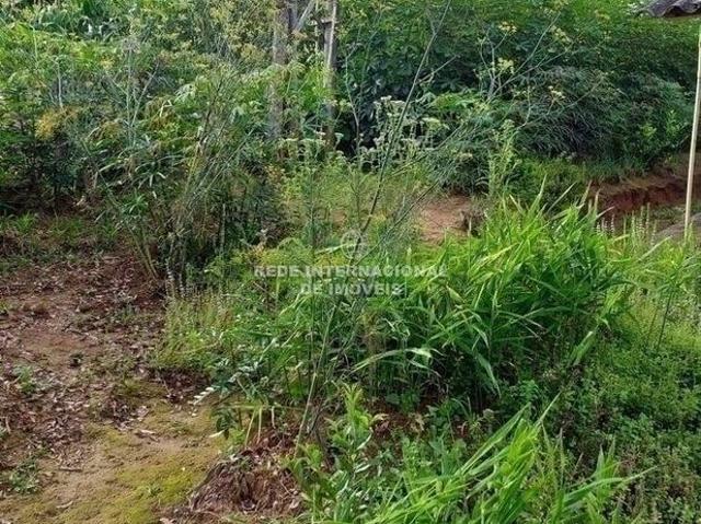 Casa venda em Região Imediata de Itapeva, Ribeirão Branco