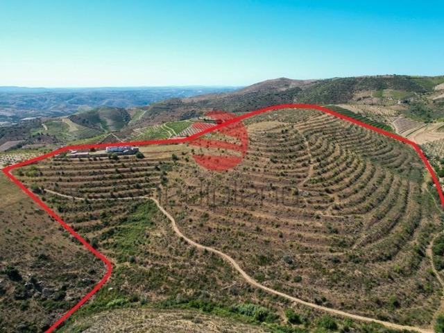 Casa venda em Guarda, Mós