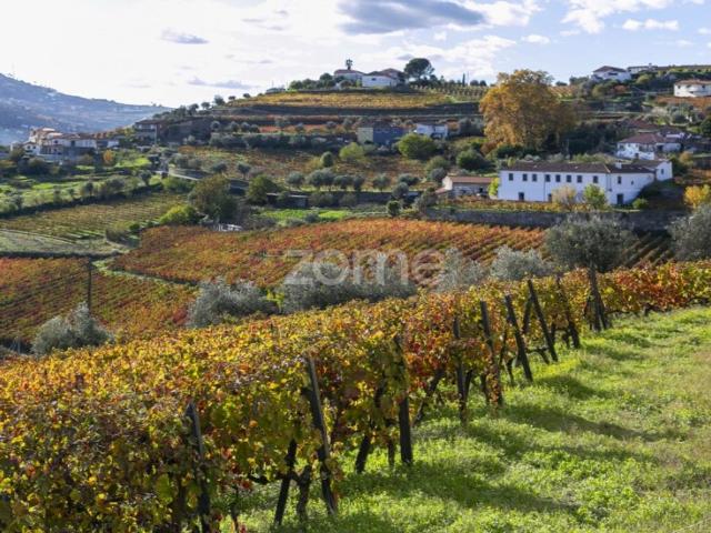 Casa venda em Peso Da Régua, Vila Real