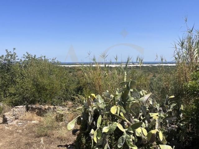 Casa venda em Prego, Tavira