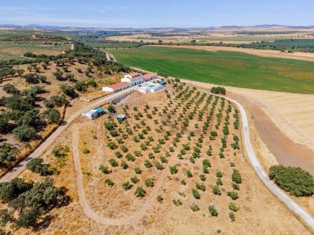Casa venda em Campo Maior, Portalegre