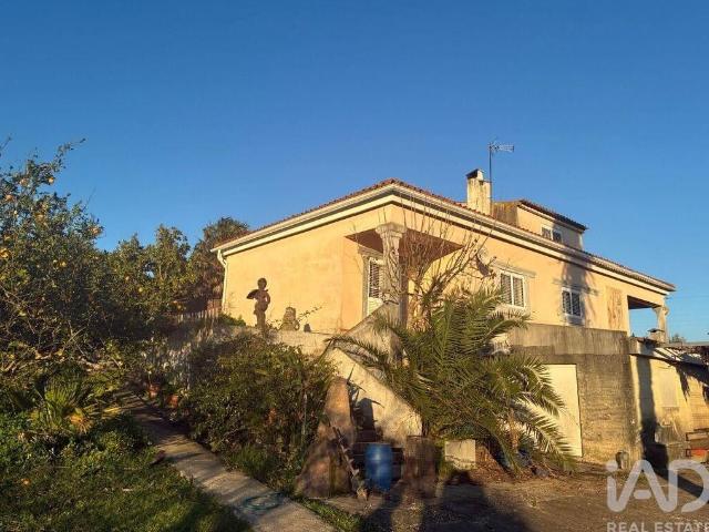 Casa venda em Cartaxo, Santarém