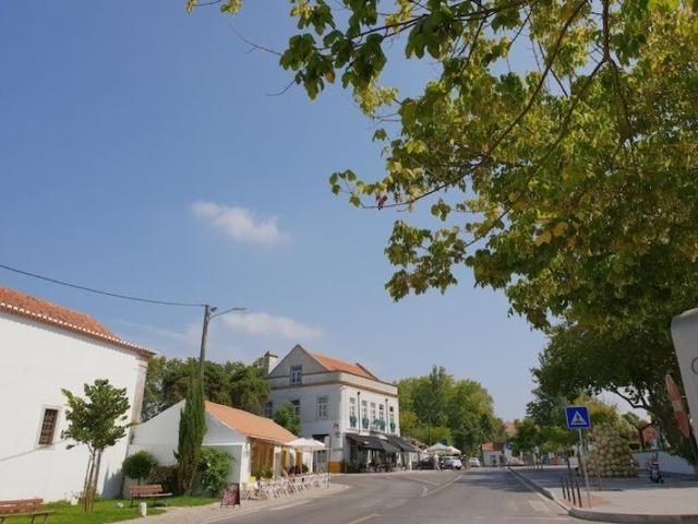 Casa venda em Azeitão (São Lourenço e São Simão), Setúbal