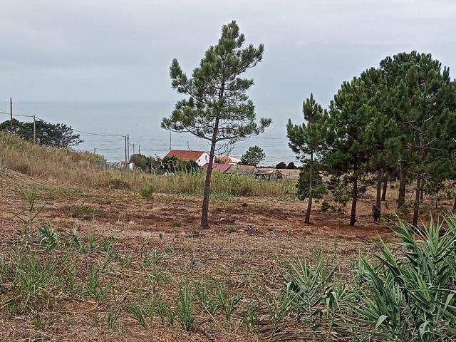 Casa venda em Pederneira, Leiria