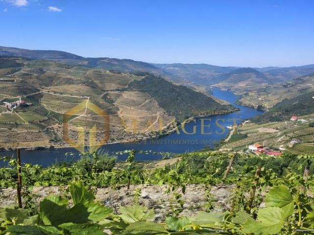Casa venda em Tabuaço