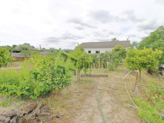 Casa venda em Mora, Évora