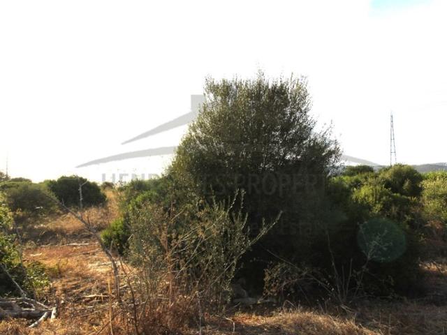 Casa venda em Faro