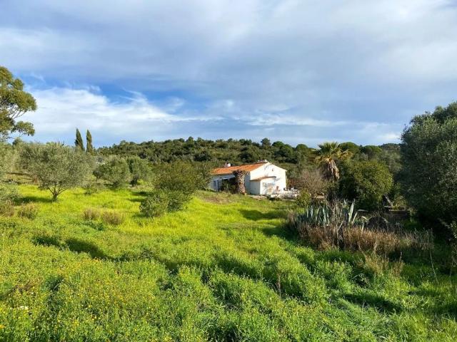Casa venda em Grândola, Setúbal
