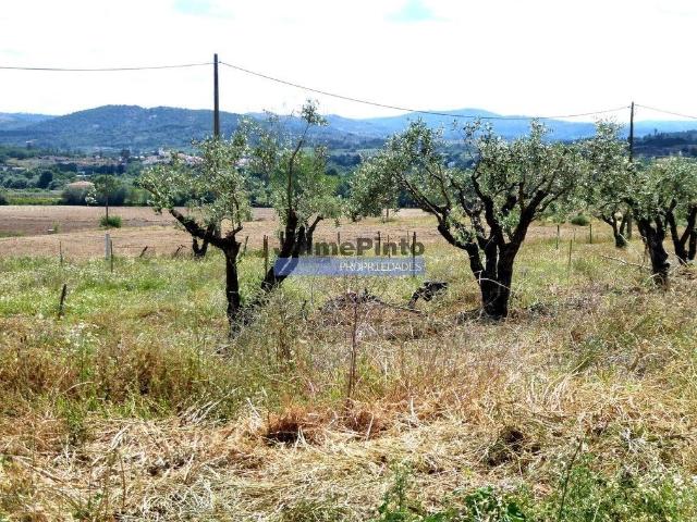 Casa venda em Belmonte
