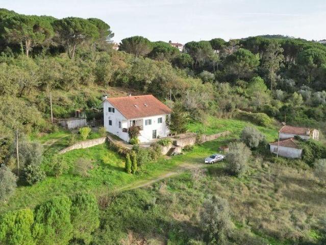 Casa venda em Coimbrã, Coimbra