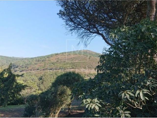 Casa venda em Azoia, Sintra