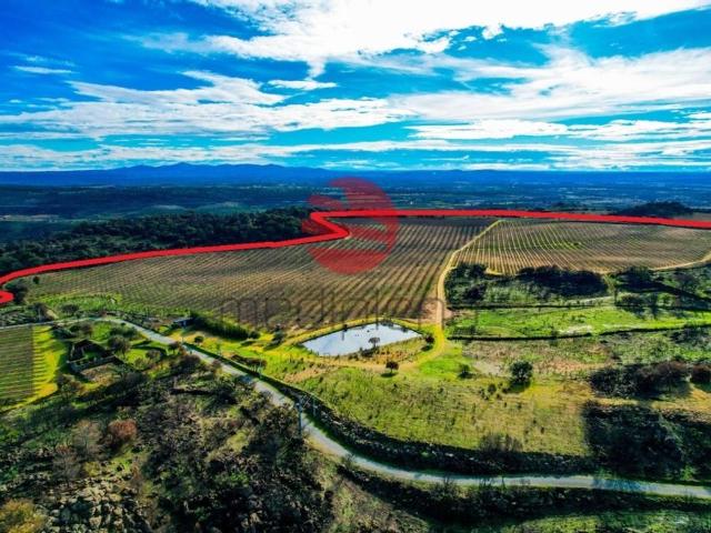 Casa venda em Guarda, Longroiva