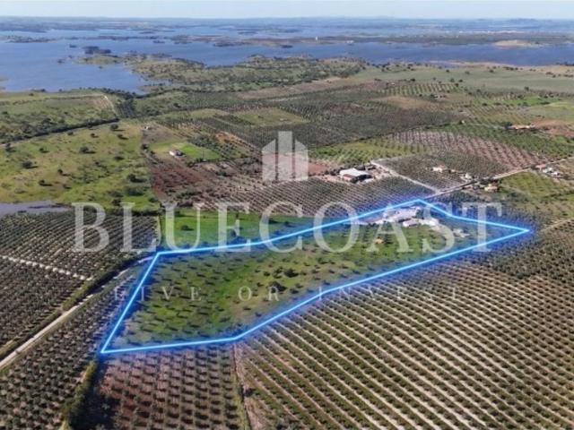 Casa venda em Mourã, Beja