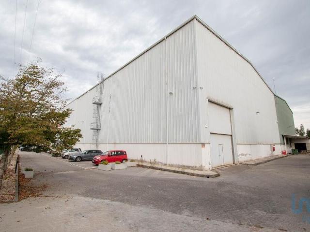 Casa alugar em Marinha Grande, Leiria