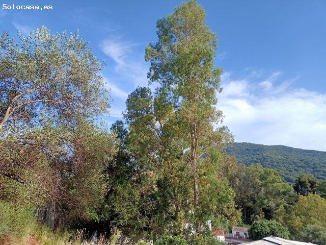 Casa en venta en Serranía de Ronda, Andalucía