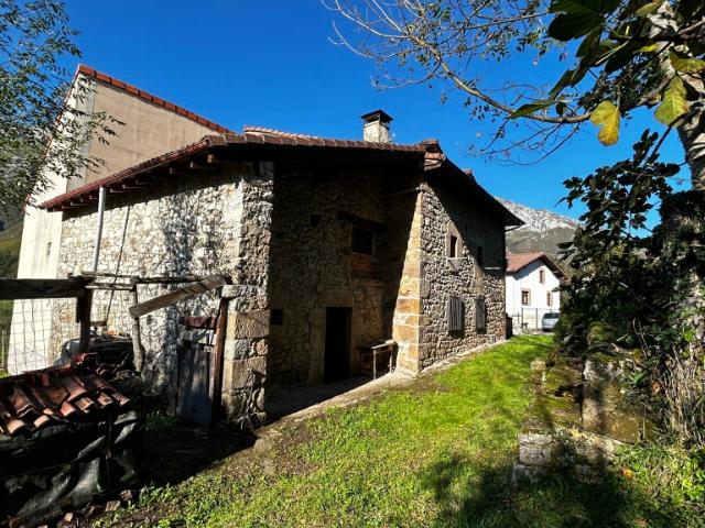 Casa Rural en venta en Peñamellera Alta, Asturias
