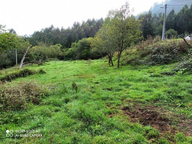 Casa en venta en Muros De Nalón, Asturias