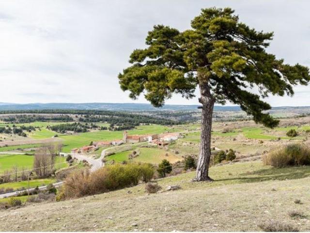 Casa en venta en Sierra de Albarracín, Aragón