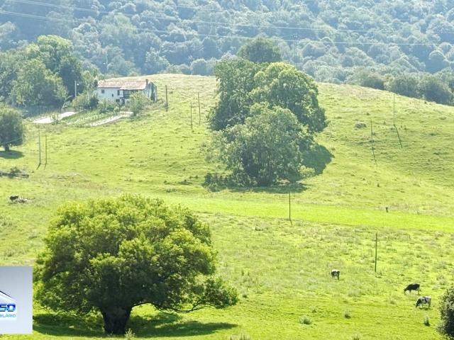 Casa en venta en Quintana, Solórzano