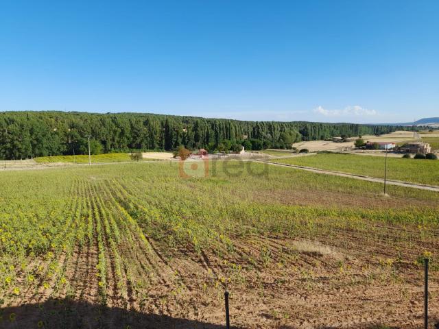 Casa en venta en Zarzuela, Castilla-La Mancha