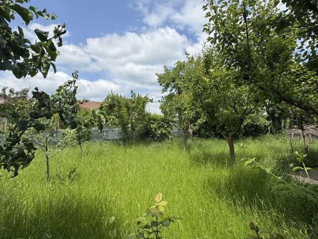 Casă vânzări în 23 August