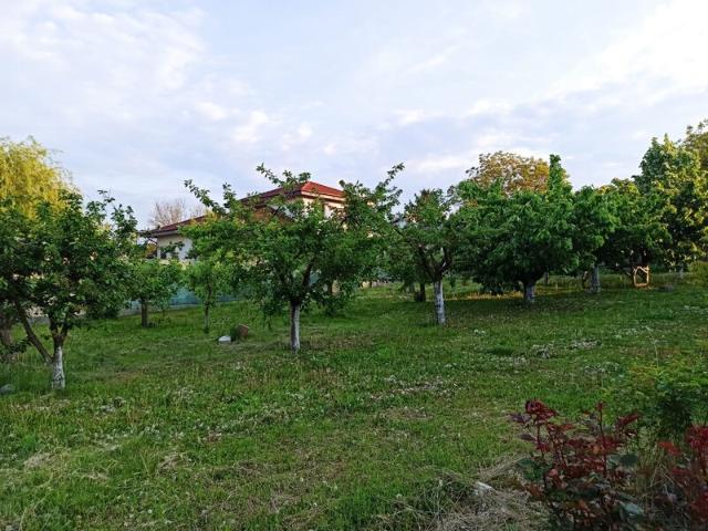 Casă vânzări în Buftea, București