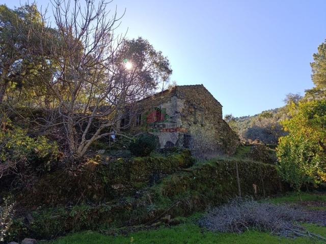 Casa venda em Castelo Branco, Proença-a-nova