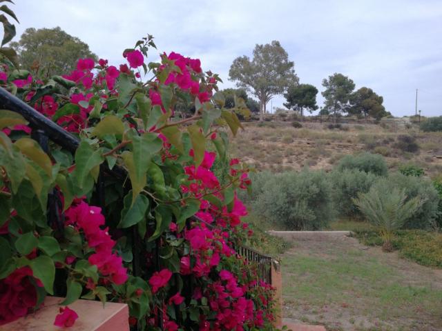 Chalet en venta en Los Gallardos, Andalucía