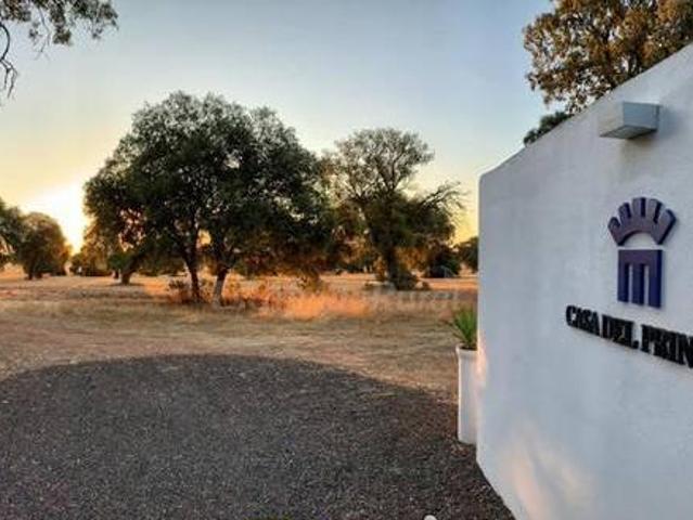 Casa en alquiler en Daimiel, Castilla-La Mancha
